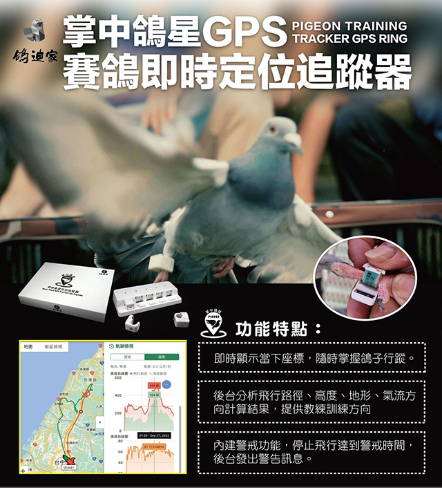 鴿子 Amazon.com: PIGEONVITA para Palomas 100 片維他命礦物質氨基酸